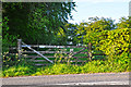 North Devon : Gate & Field