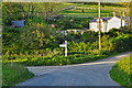 North Devon : Country Lane