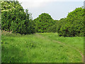 Noak Bridge Nature Reserve