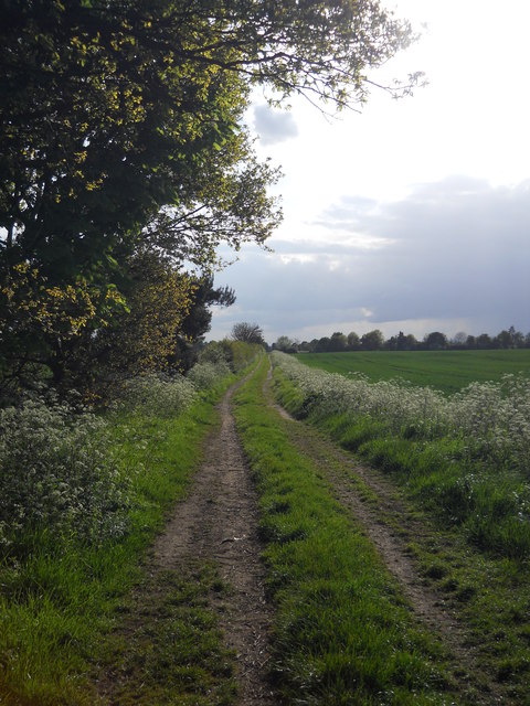 Farm track between Glinton and Peakirk