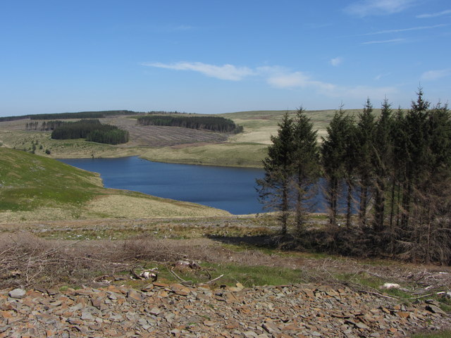 Cleared forest above Lluest-wen Reservoir