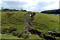 Hillside stream, Garnlydan