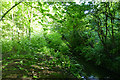 Verdant banks of Golden Brook