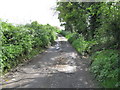 Potholed lane linking Mowhan Road and Carrickananny Road