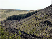 SN7792 : Clear-felling on the slopes of Foel Cerrigbrithion by John Lucas