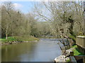 The River Cothi at Pont-ar-gothi