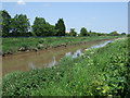 The River Nene near Wisbech