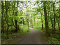 Broadwood Nature Reserve