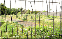 J2564 : The Longstone site, Lisburn (May 2014) by Albert Bridge