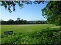 Recreation ground in Hildenborough