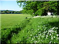 Recreation ground near Riding Lane