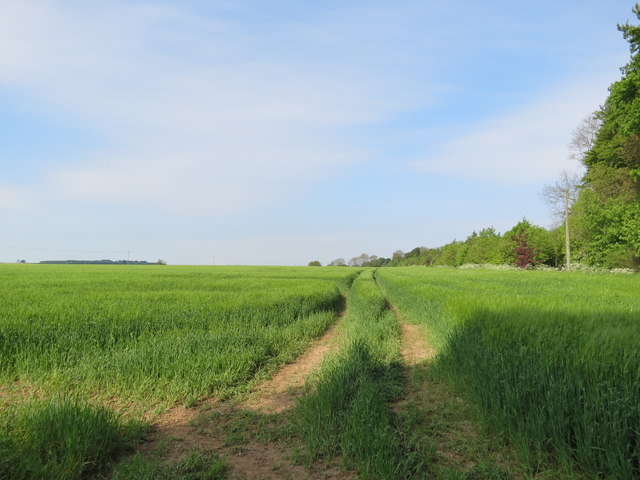 Morning sun on a wolds field © Martin Dawes :: Geograph Britain and Ireland