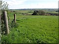 Rough grazing field next to the B3269