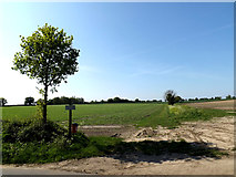 TM4888 : Footpath to Dairy Lane by Geographer