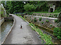 The leat for Town Mill and the River Lim