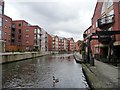 Ashton Canal at Piccadilly Village