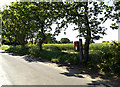 TM4687 : Red House Farm Postbox by Geographer
