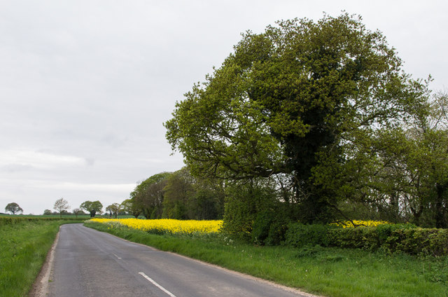 Tockwith Road