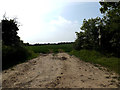 TM4387 : Footpath off Cucumber Lane by Geographer