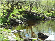 NN2635 : River Orchy at Easan Dubha falls by sylvia duckworth