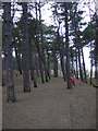 Path towards Formby Point