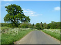 Open area, Wychwood Forest