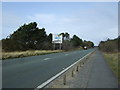 Trans Pennine Trail heading north