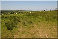 Grazing land near Malthouse Farm