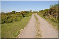 Track on Pengwern Common