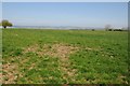 Field near Highfield Farm