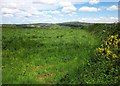 Field near Furzenapp