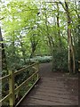 Footbridge in Furze Wood