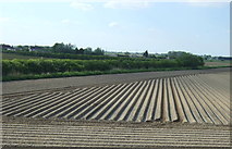 TF4004 : Ploughed field near Guyhirn by JThomas