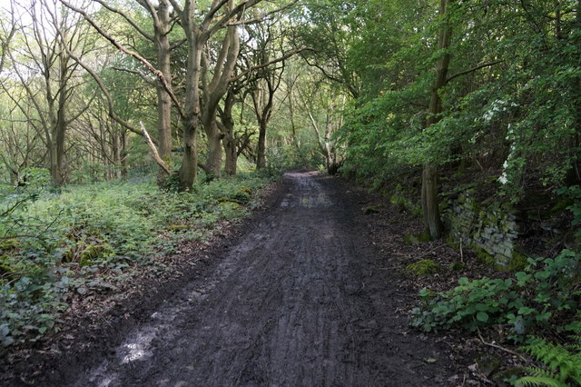 Leeds Country Way towards Round Wood