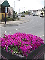 Newtown Road at the centre of the South Armagh village of Belleek