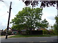 TM0322 : Tree opposite bus stop by Hamish Griffin
