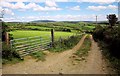 Farm track near St Ive Cross