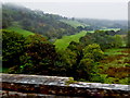 County Antrim Coast Road (A2) - Glendun Viaduct over Glendun River - Woodland