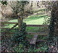 Stile to a public footpath to Callowell