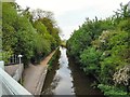 Peak Forest Canal