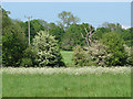 Fields in the springtime