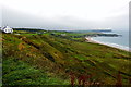 D0244 : Country Antrim Coast Road (A2) - White Park Bay Coastal Scene by Suzanne Mischyshyn