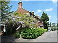 Mentmore - Wisteria covered house