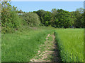 Footpath to Peasmarsh