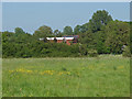 SU9946 : Broadford meadows by Alan Hunt