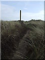 SD3013 : Sefton Coastal Footpath by JThomas