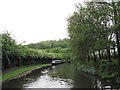 Boats on the Peak Forest Canal, New Mills