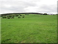 Farmland at Tulloch