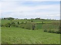 Dairy Farm north of Whitecross