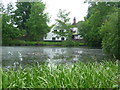 Stamford Green Pond on Epsom Common